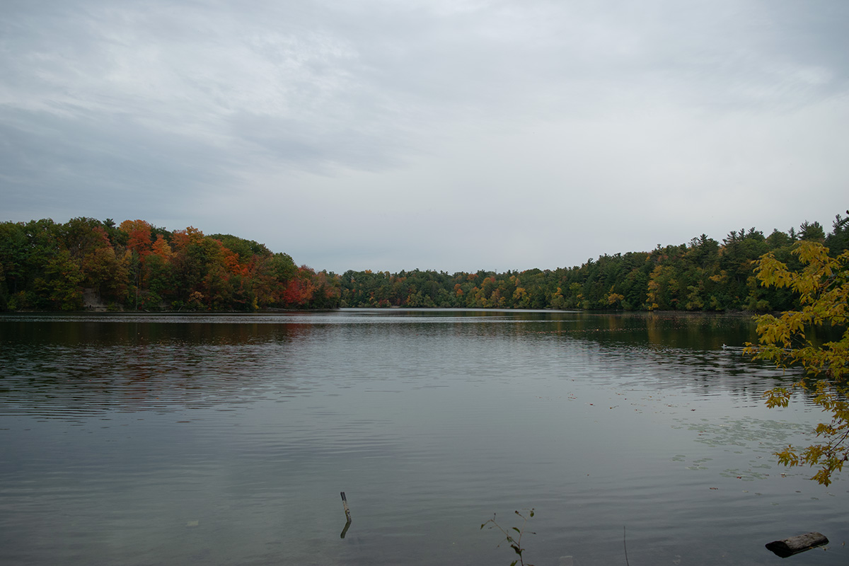 Lake with trees surrounding it